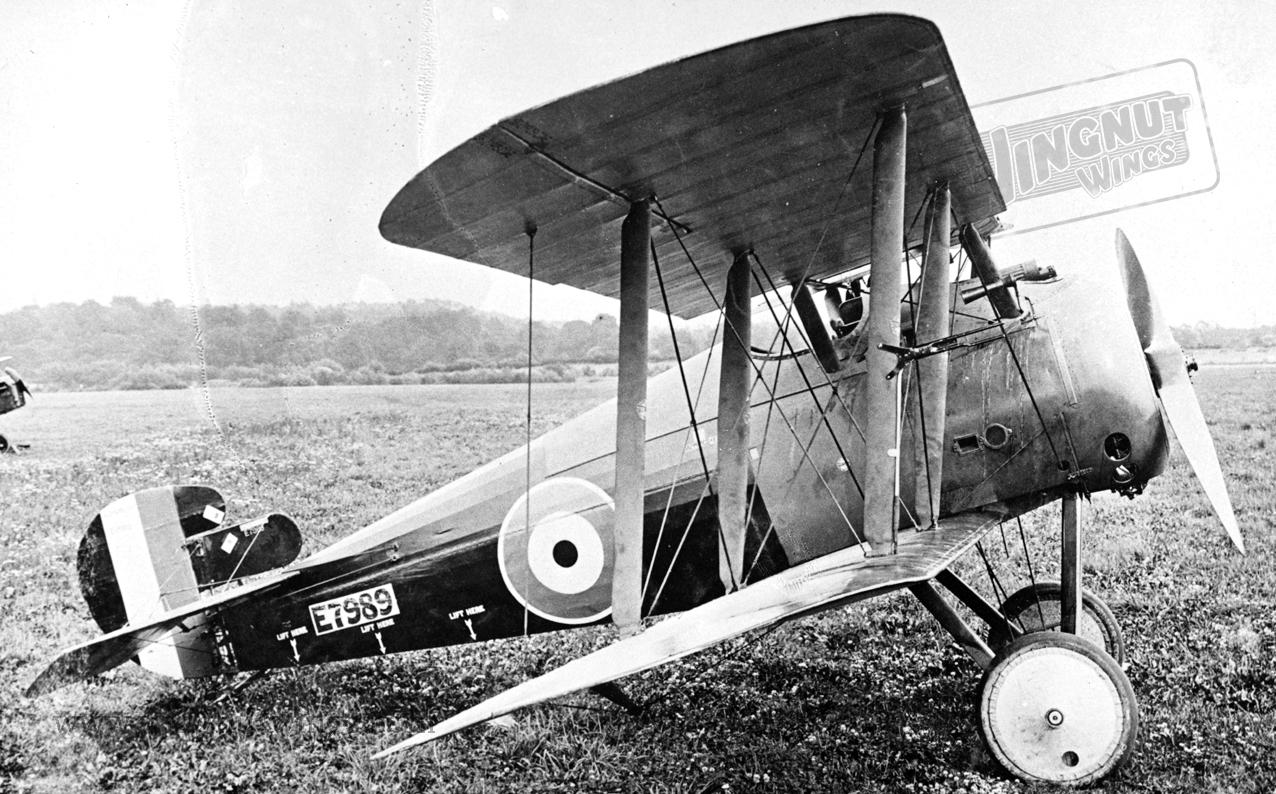 snipe plane toy